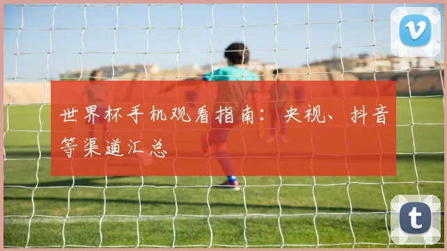世界杯手机观看指南：央视、抖音等渠道汇总