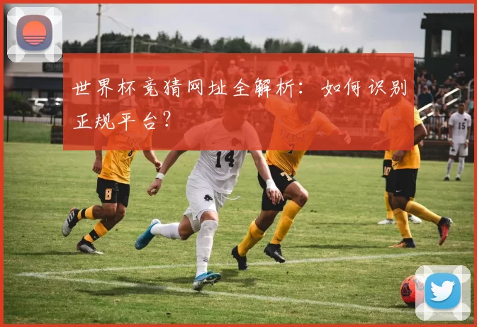 世界杯竞猜网址全解析：如何识别正规平台？