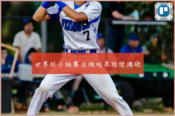 世界杯小组赛出线结果陆续揭晓