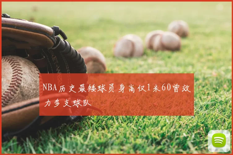 NBA历史最矮球员身高仅1米60曾效力多支球队