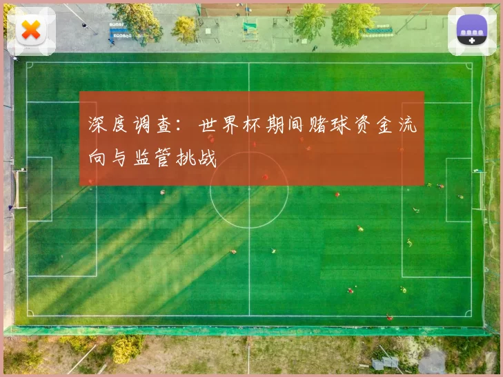 深度调查：世界杯期间赌球资金流向与监管挑战