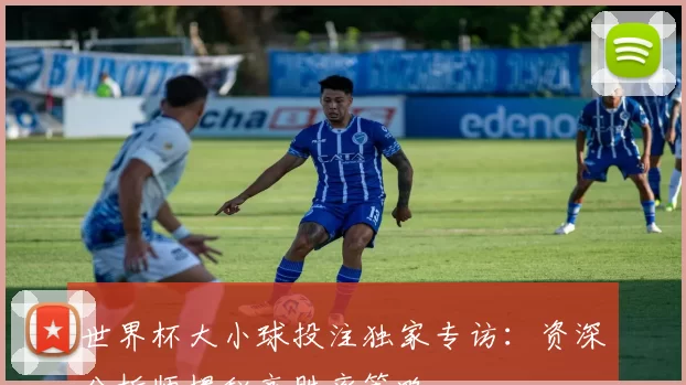 世界杯大小球投注独家专访：资深分析师揭秘高胜率策略