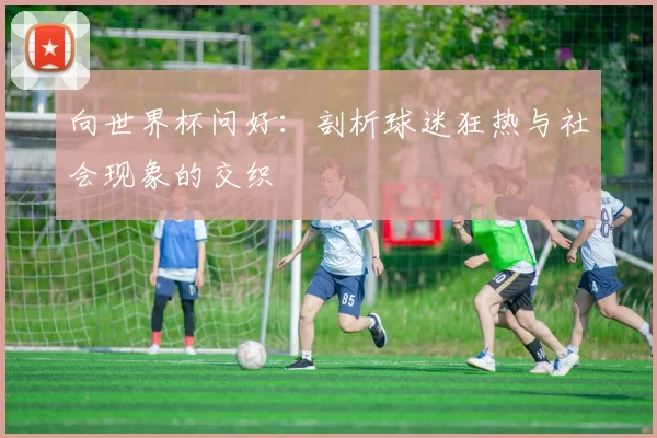 向世界杯问好：剖析球迷狂热与社会现象的交织