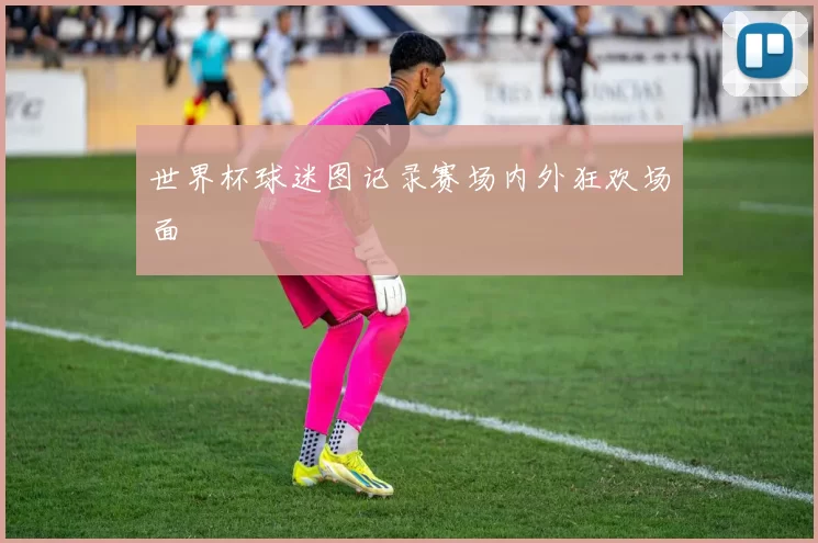 世界杯球迷图记录赛场内外狂欢场面
